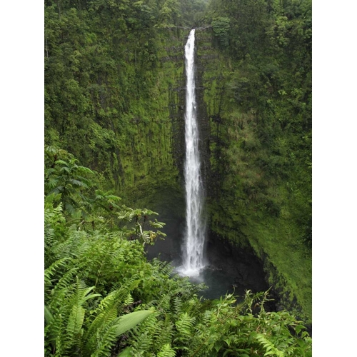 USA, Hawaii, Hilo View if Akaka Falls